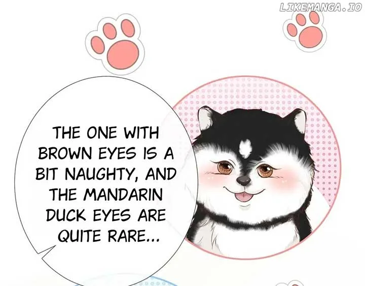 Everyone’s Darling Chapter 149 page 47