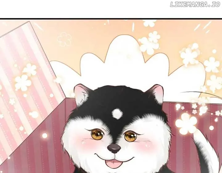 Everyone’s Darling Chapter 149 page 85