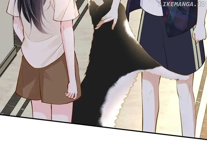 Everyone’s Darling Chapter 154 page 12