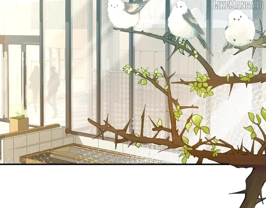 Everyone’s Darling Chapter 171 page 41