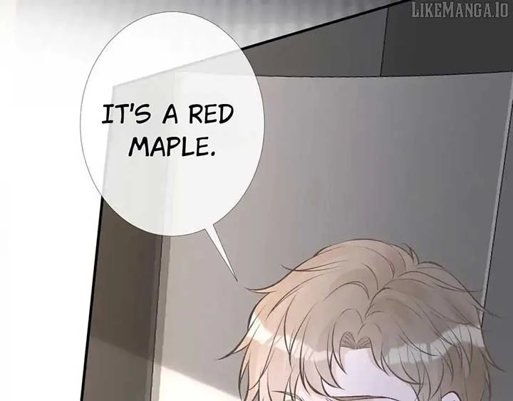 Everyone’s Darling Chapter 174 page 35