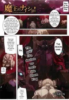 The Princess of Darkness cover