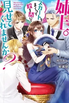Why Don't You Lift Up That Skirt And Show Me Yours, Sister? cover