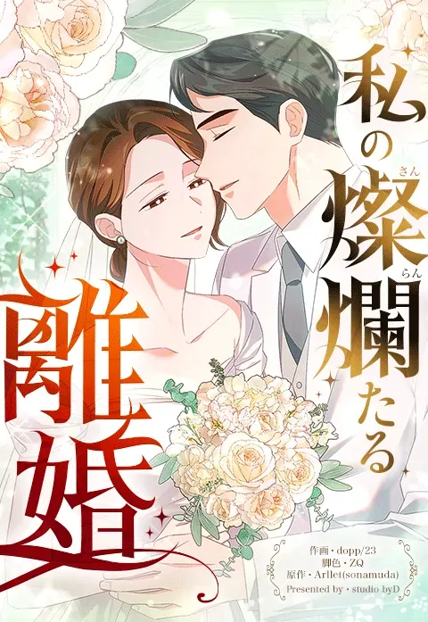 Brilliant Divorce cover