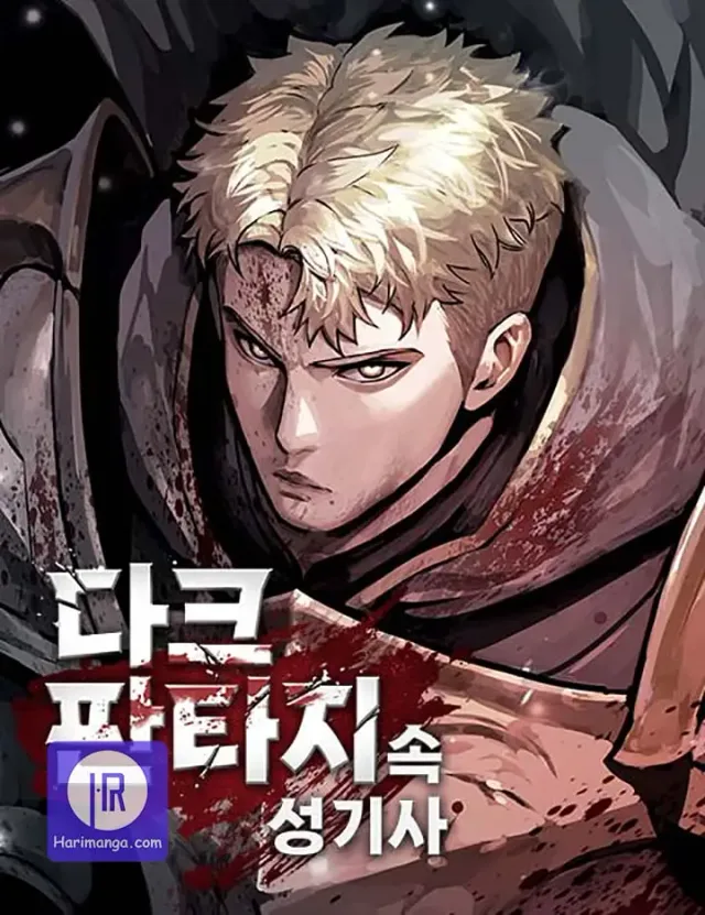Dark Fantasy Paladin cover