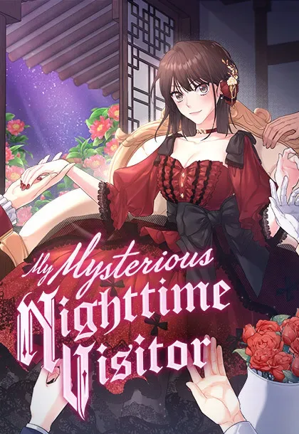 My Mysterious Nighttime Visitor cover