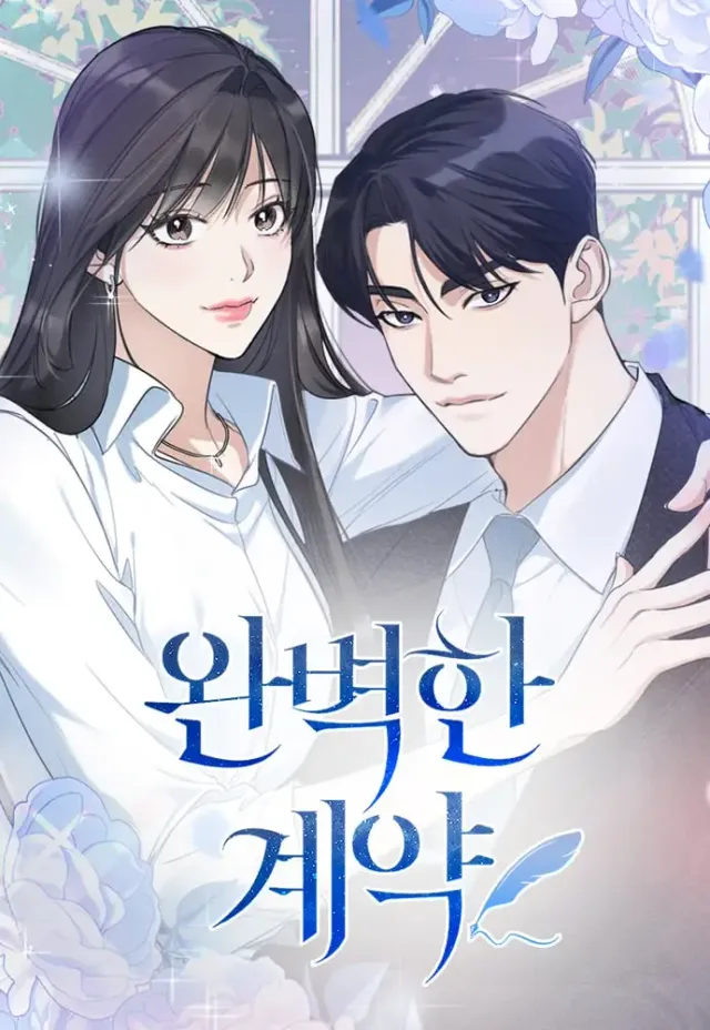 Perfect Contract cover