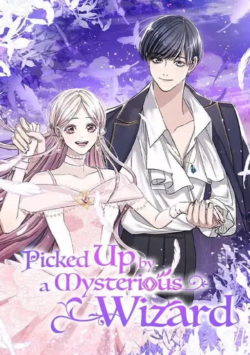 Picked Up by a Mysterious Wizard cover