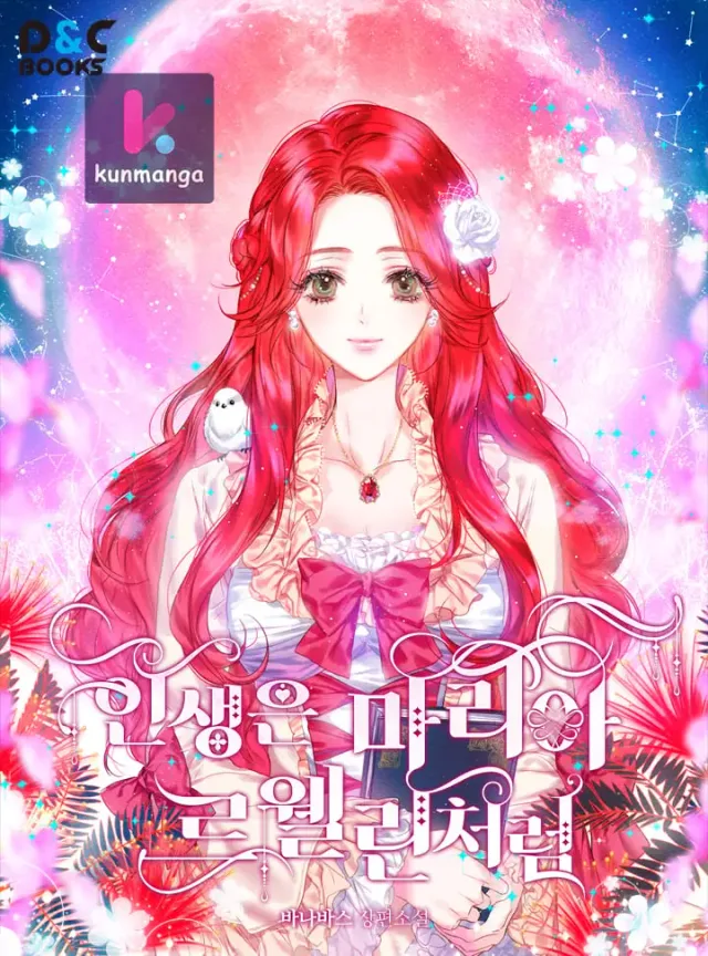 The Life of Maria Lewellin cover