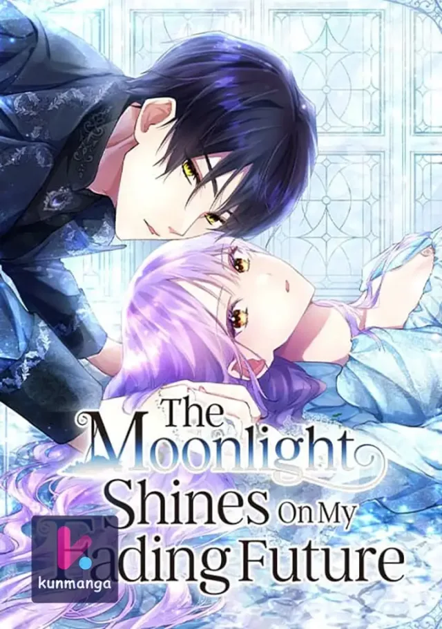 The Moonlight Shines On My Fading Future cover