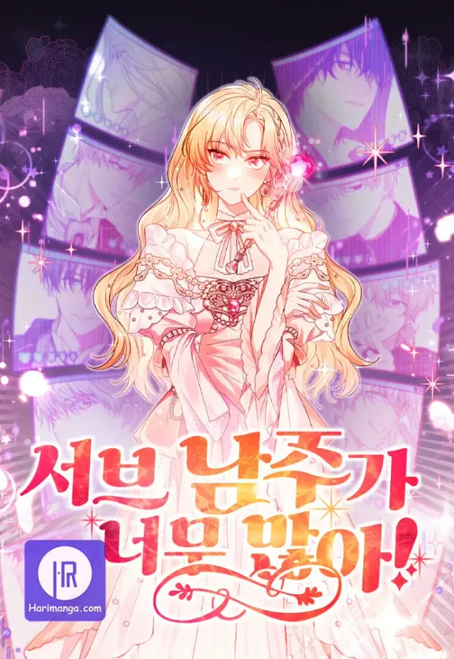 There Are Too Many Second Male Leads! cover