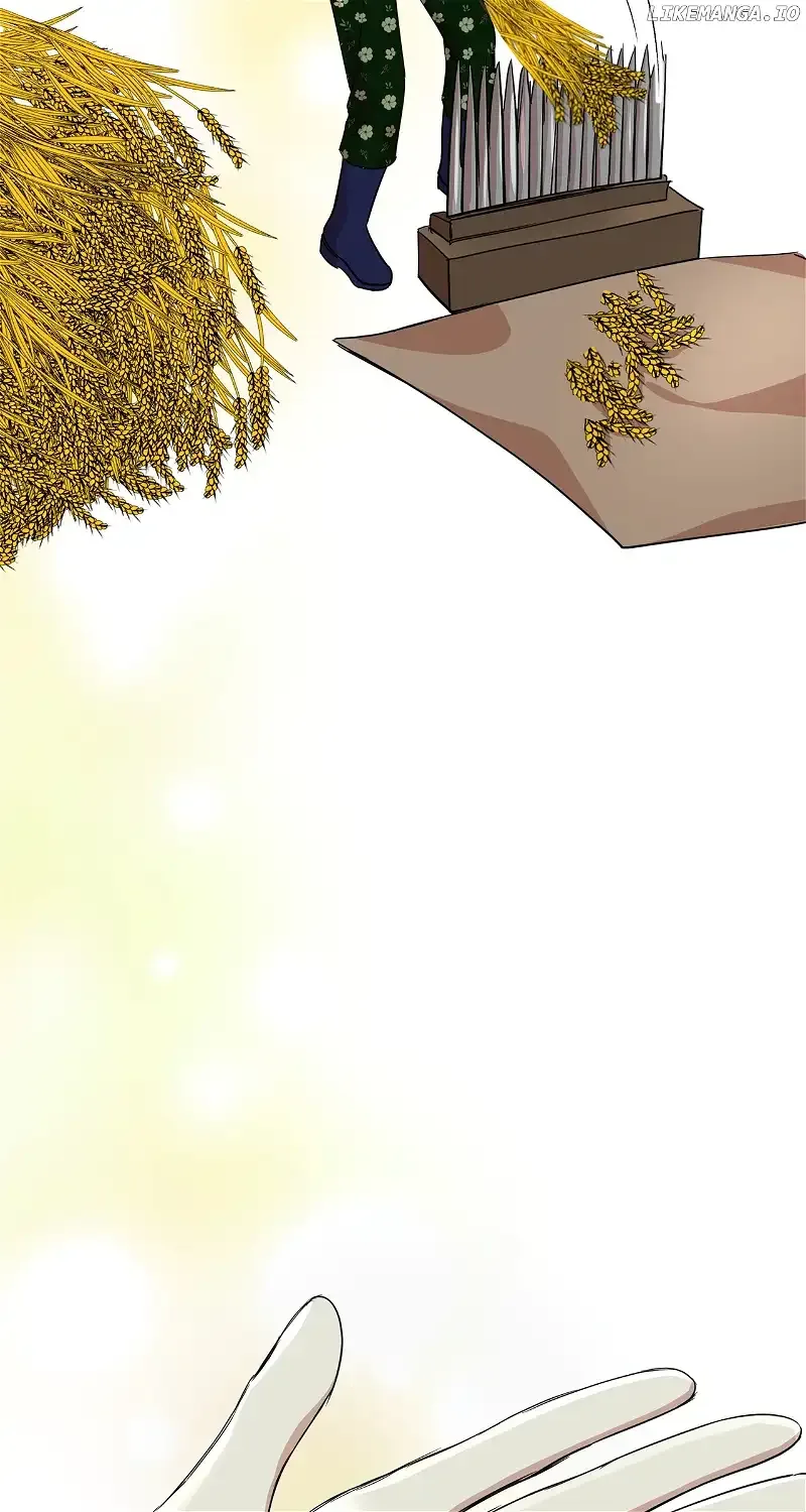 Fragrant Magician Chapter 14 page 42