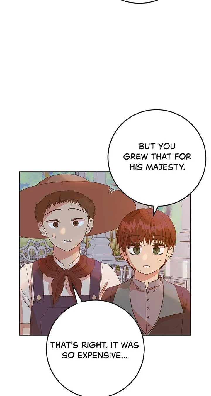 Fragrant Magician Chapter 25 page 64