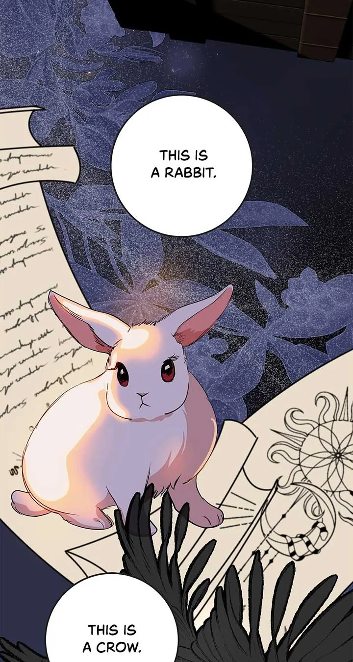 Fragrant Magician Chapter 26 page 63