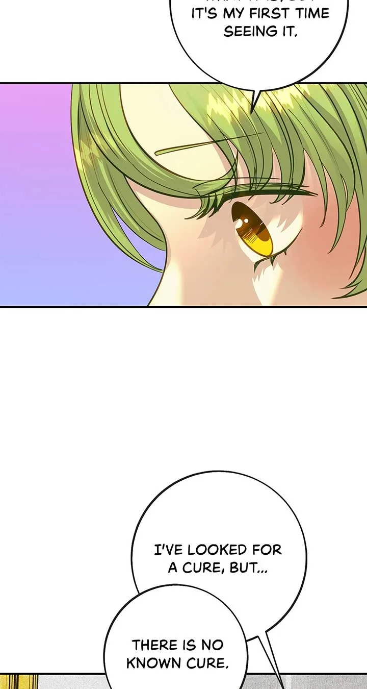 Fragrant Magician Chapter 42 page 3