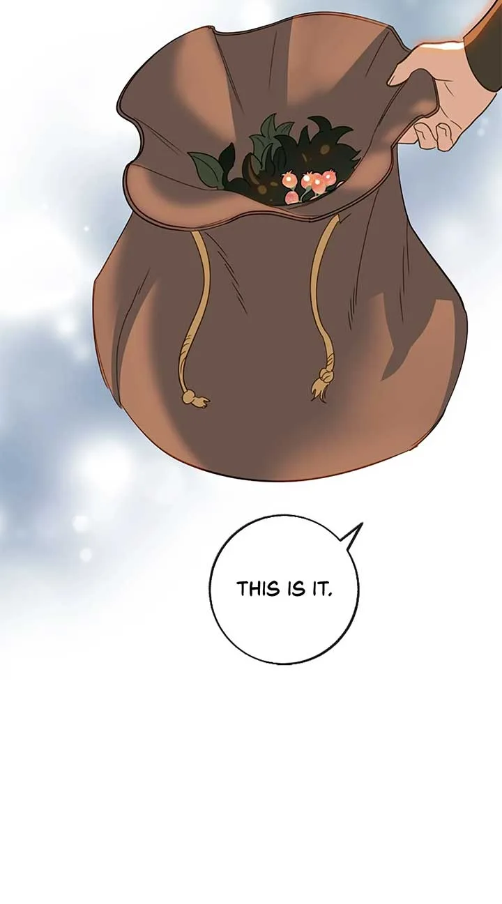 Fragrant Magician Chapter 41 page 24