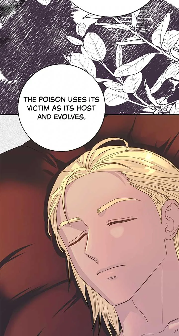 Fragrant Magician Chapter 41 page 54