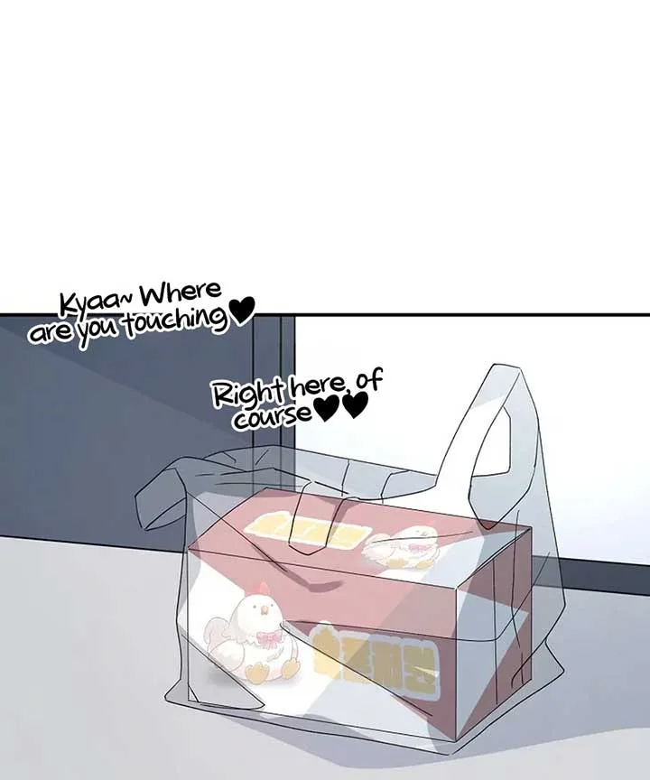 Her Happy Ending Strategy Chapter 1 page 166