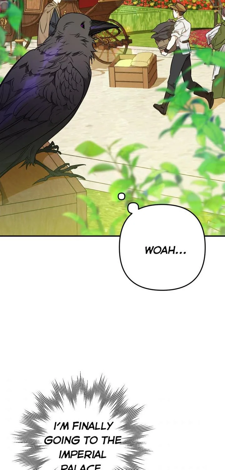 I Have Become a Crow Chapter 5 page 67