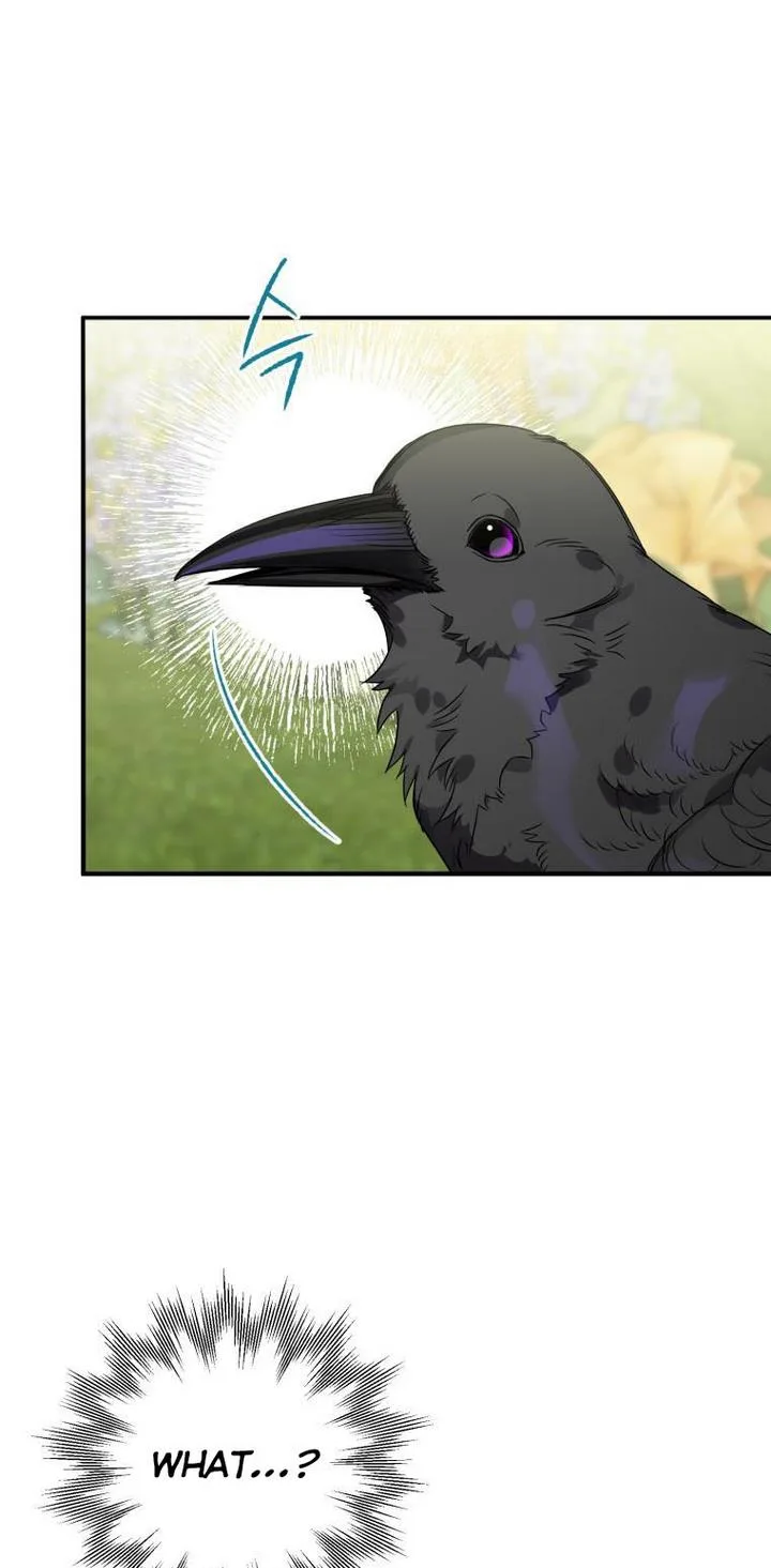 I Have Become a Crow Chapter 8 page 16