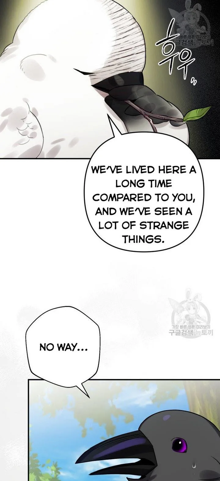 I Have Become a Crow Chapter 24 page 13