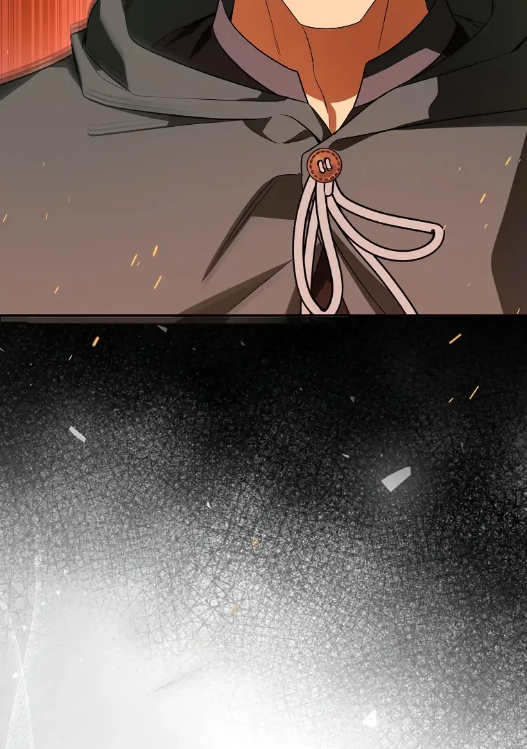I have possessed the body of the protagonist Chapter 66 page 25