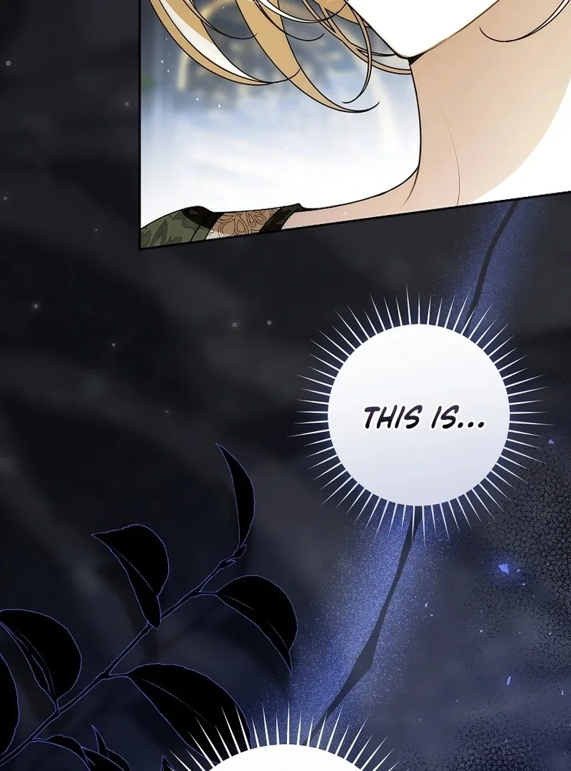 I Healed The Male Lead’s Trauma Chapter 26 page 103