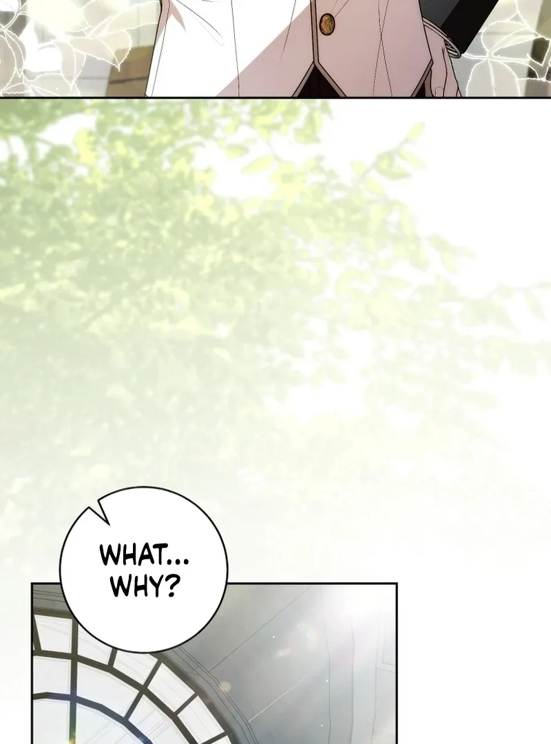 I Healed The Male Lead’s Trauma Chapter 30 page 97
