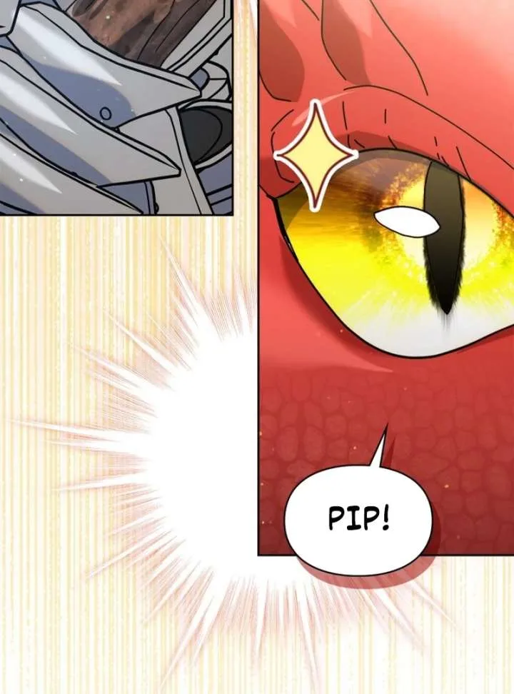 I Hired a Villain as My Housekeeper Chapter 29 page 79