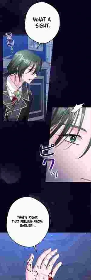 I Punished the Villainous Young Master, and He Became Obsessed with Me Chapter 17 page 24
