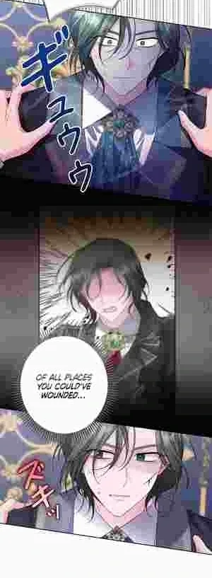 I Punished the Villainous Young Master, and He Became Obsessed with Me Chapter 21 page 27