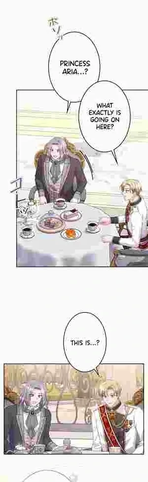 I Punished the Villainous Young Master, and He Became Obsessed with Me Chapter 20 page 47