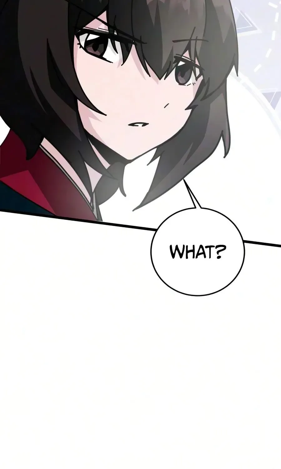 Initializing the Sect System Chapter 47 page 60