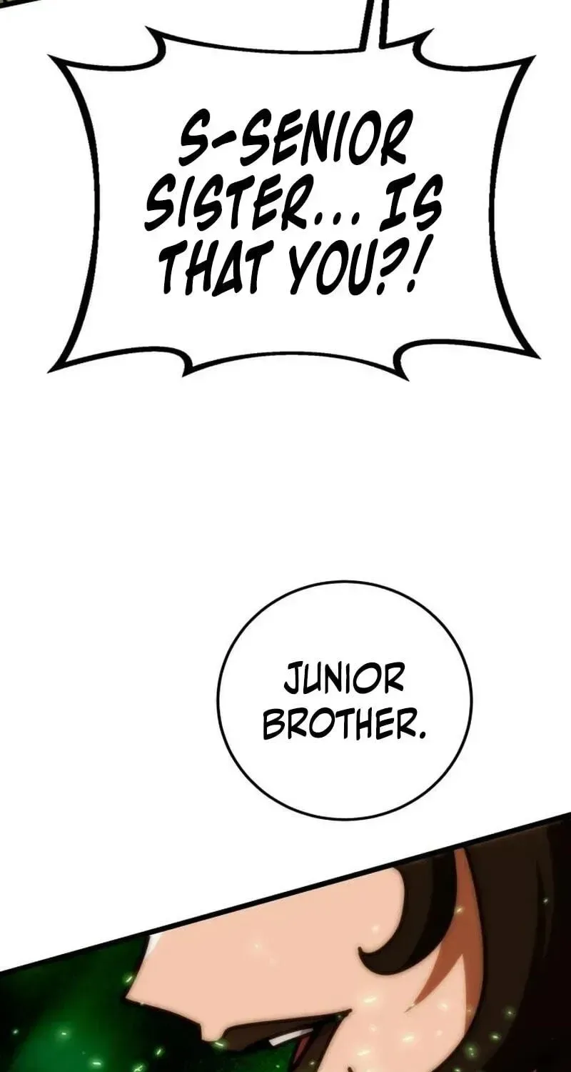Initializing the Sect System Chapter 46 page 160
