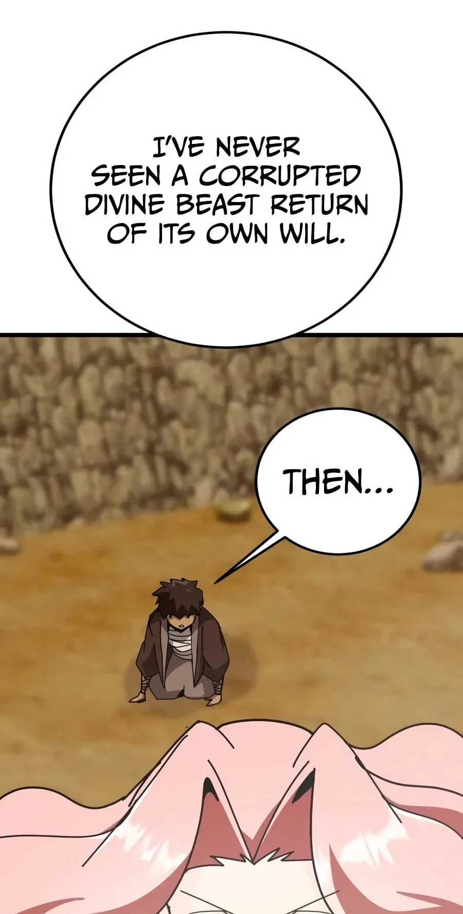 Initializing the Sect System Chapter 51 page 66