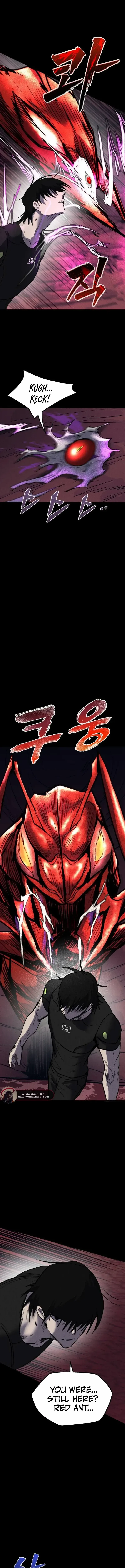 Insector Chapter 74 page 5