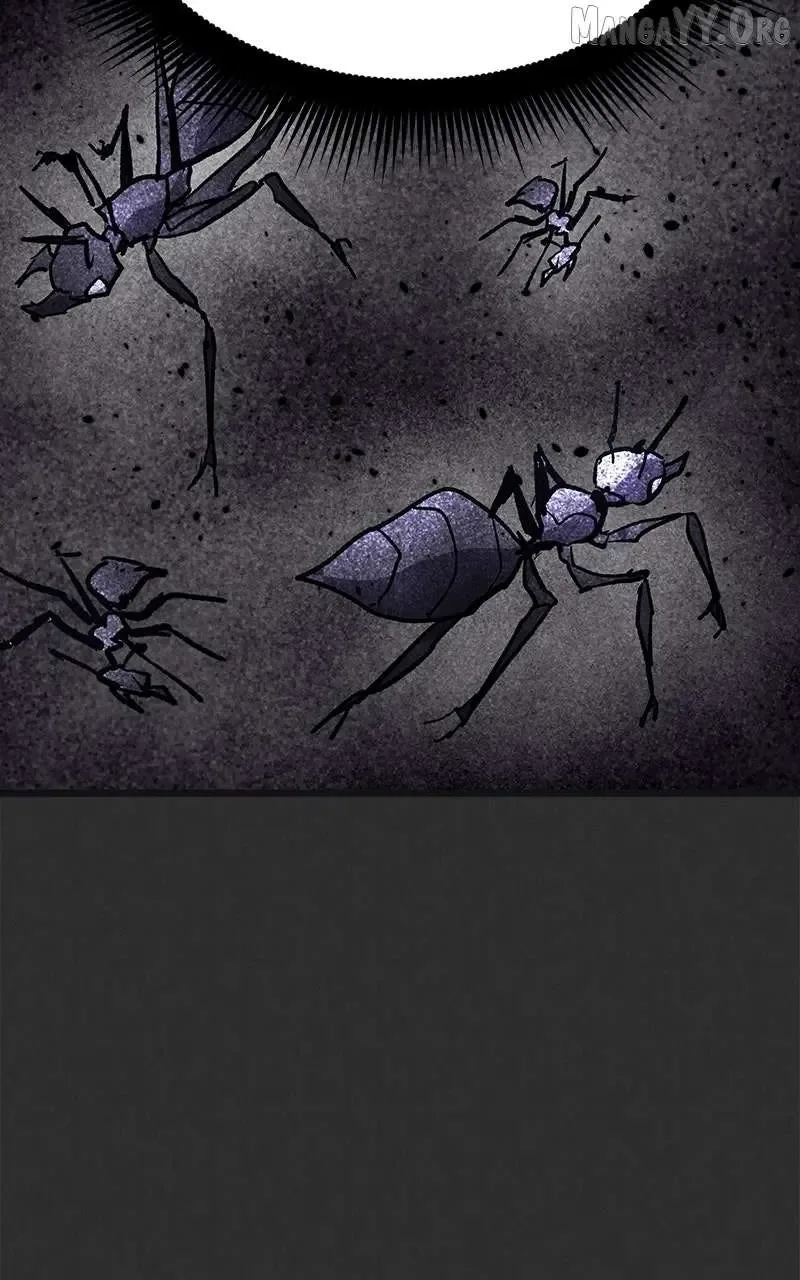 Insector Chapter 94 page 42