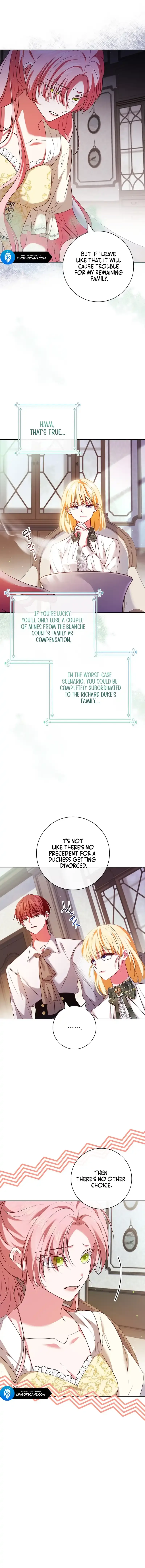 Leave the Divorce to a Professional Lawyer Chapter 5 page 16