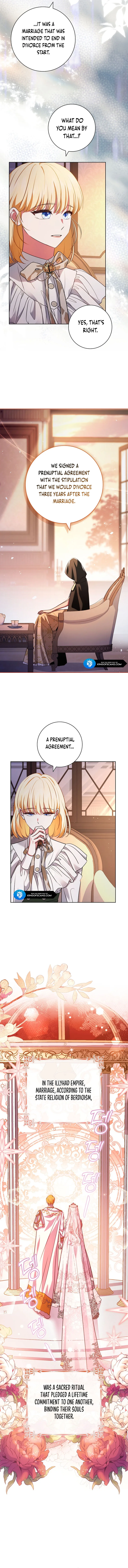 Leave the Divorce to a Professional Lawyer Chapter 2 page 7
