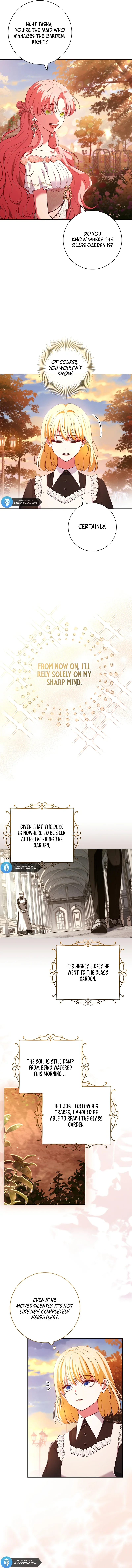 Leave the Divorce to a Professional Lawyer Chapter 8 page 8