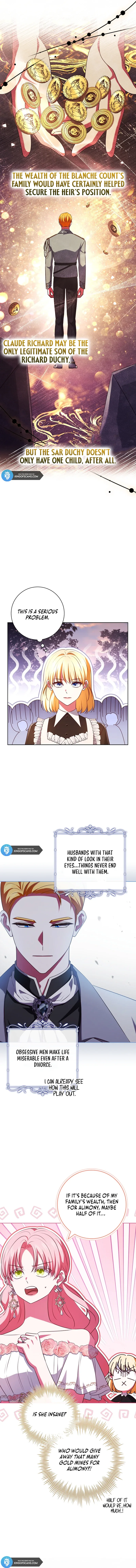 Leave the Divorce to a Professional Lawyer Chapter 8 page 13
