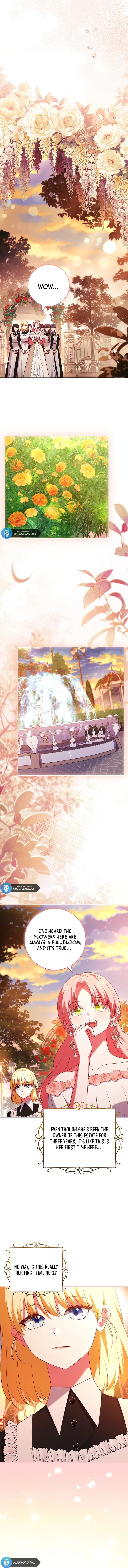 Leave the Divorce to a Professional Lawyer Chapter 8 page 5