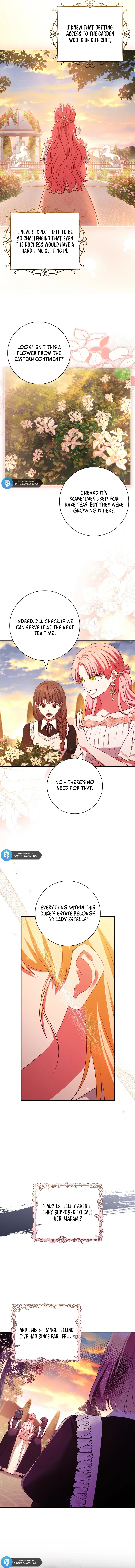 Leave the Divorce to a Professional Lawyer Chapter 8 page 6