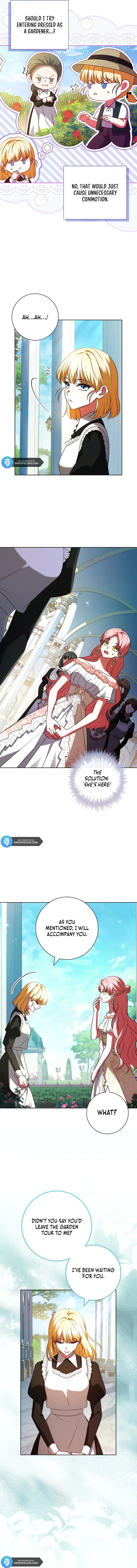 Leave the Divorce to a Professional Lawyer Chapter 8 page 3