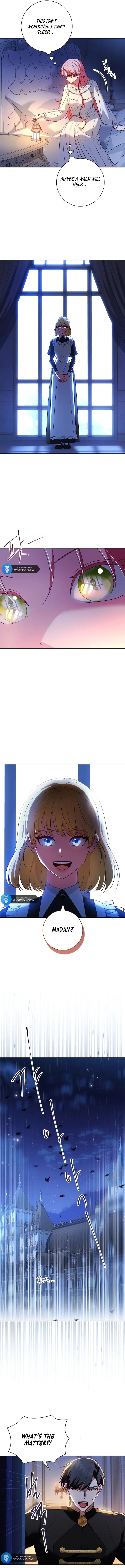 Leave the Divorce to a Professional Lawyer Chapter 9 page 4