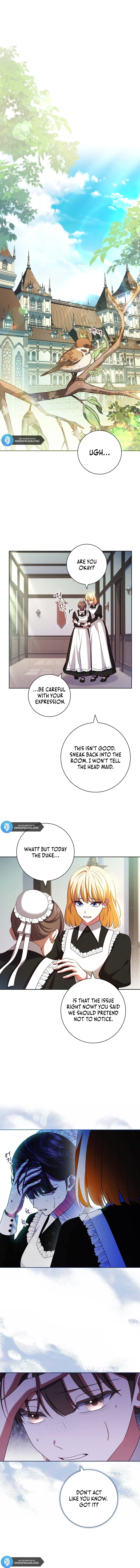 Leave the Divorce to a Professional Lawyer Chapter 7 page 16