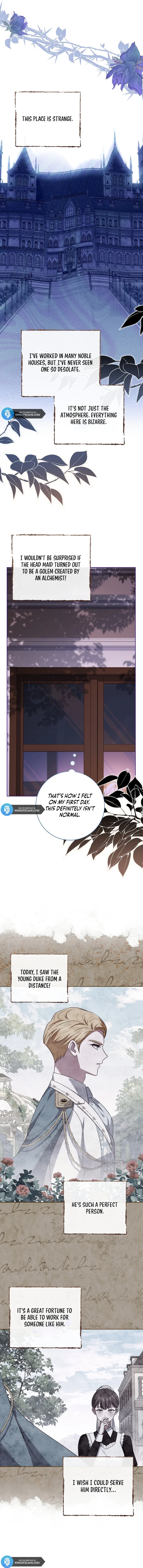Leave the Divorce to a Professional Lawyer Chapter 7 page 11