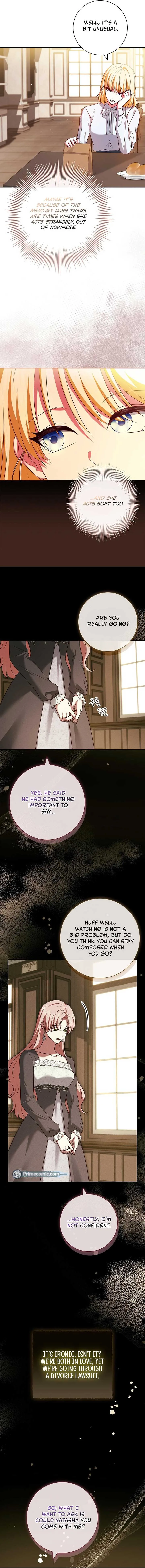 Leave the Divorce to a Professional Lawyer Chapter 19 page 3