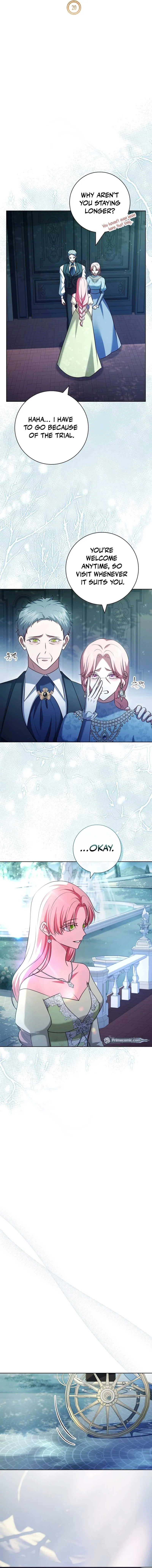 Leave the Divorce to a Professional Lawyer Chapter 20 page 11