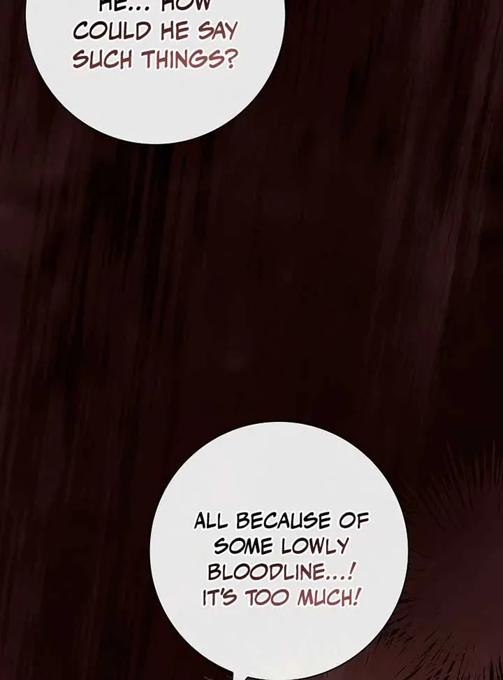 Leave the Divorce to a Professional Lawyer Chapter 22 page 25